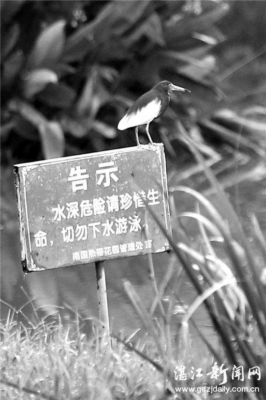 广东省最出名的海边,广东省最出名的海边——领略南国海滨风情万种