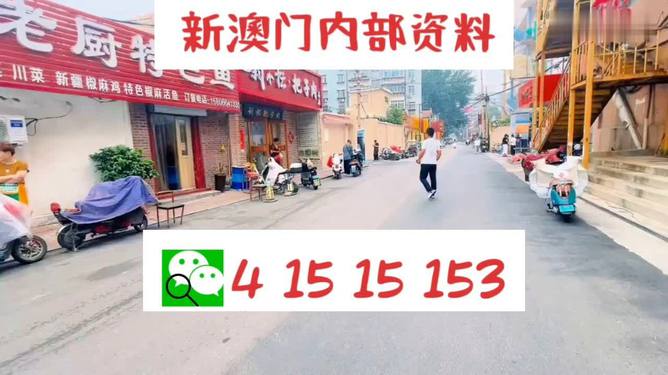 2024新澳天天资料免费大全,揭秘新澳天天资料免费大全，警惕背后的风险与犯罪隐患