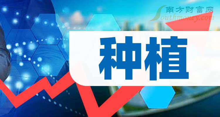 2024年新澳门免费资料,关于澳门免费资料的犯罪问题探讨