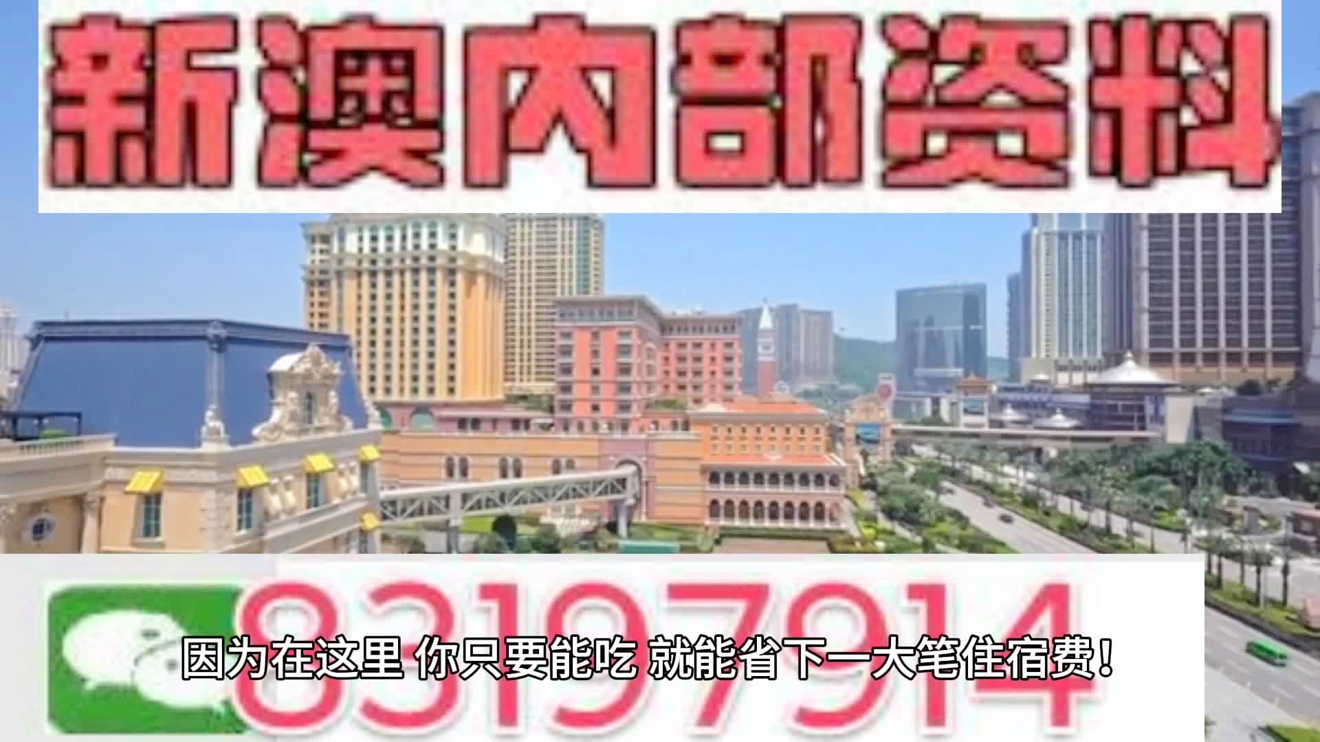 2024年澳门天天开好彩,澳门天天开好彩——探寻背后的真相与挑战