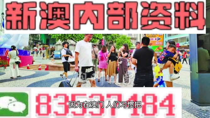 新澳门资料免费长期公开,2024,关于新澳门资料免费长期公开与违法犯罪问题的探讨