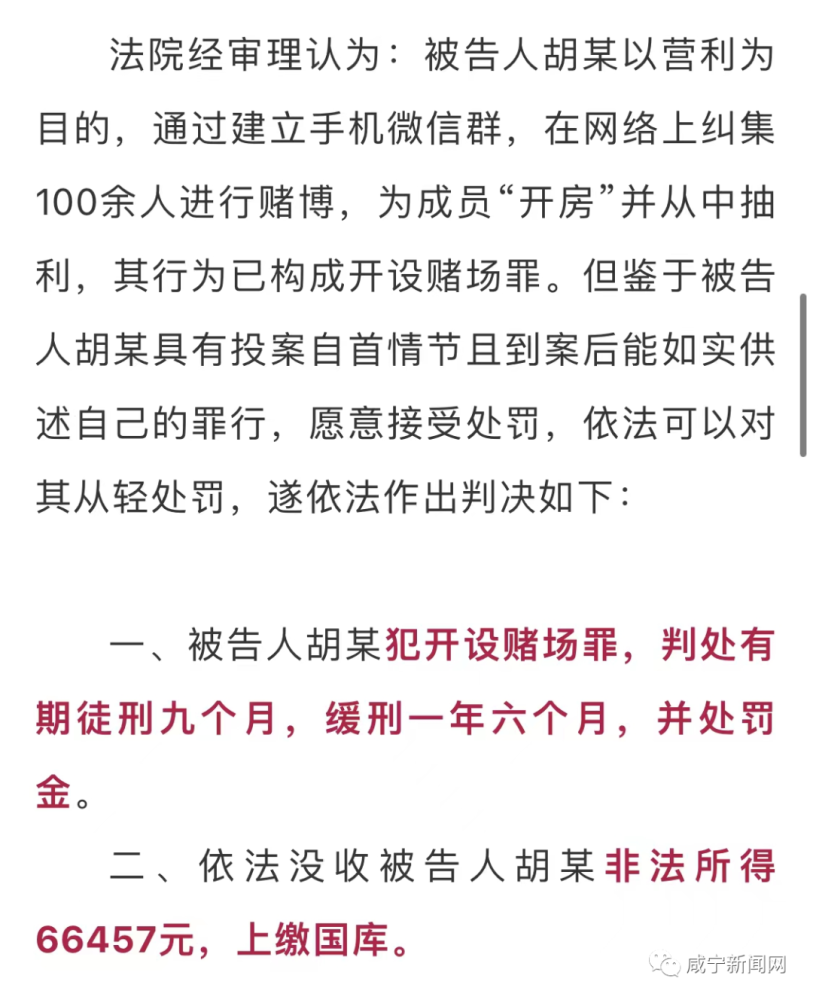 澳门正版资料全年免费看啊,澳门正版资料全年免费看，一个关于犯罪与法律的探讨