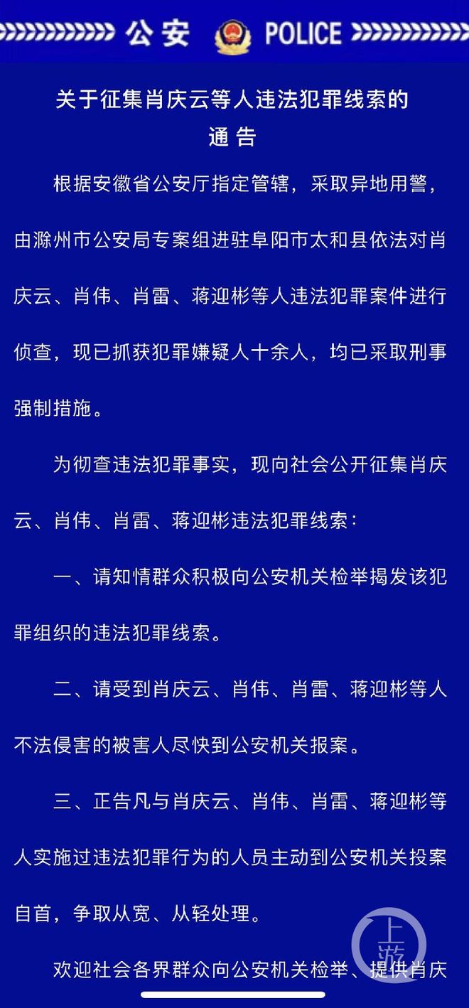 精准一肖一码100准最准一肖_,精准一肖一码，犯罪行为的误解与警示