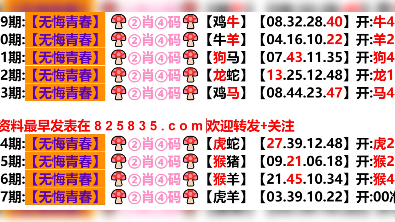 2024新澳门天天开好彩大全孔的五伏,新澳门天天开好彩背后的秘密与五伏之迷