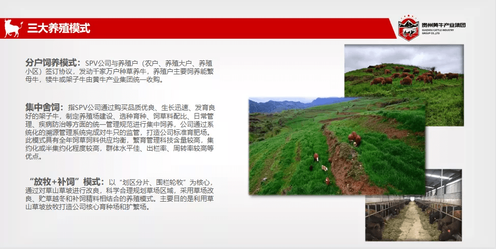 石象乡最新招聘信息,石象乡最新招聘信息概览