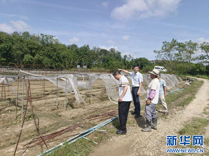 平塘县农业农村局最新新闻,平塘县农业农村局最新新闻