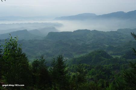 名山镇最新天气预报,名山镇最新天气预报