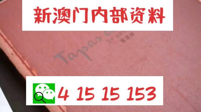 澳门内部最准资料澳门|定制释义解释落实,澳门内部最准资料与定制释义解释落实的深度探讨