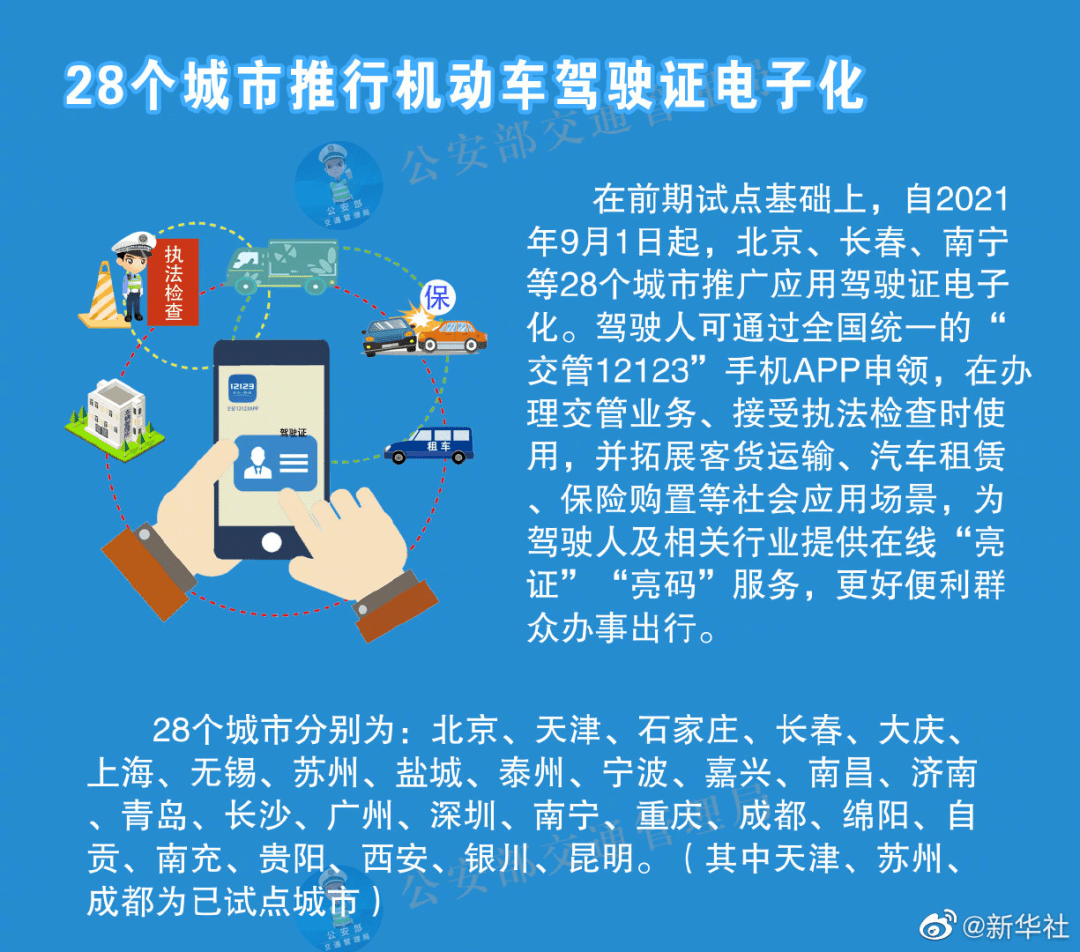 2024新澳资料免费资料大全|老练释义解释落实,探索新澳，从资料大全到老练释义的全面解读