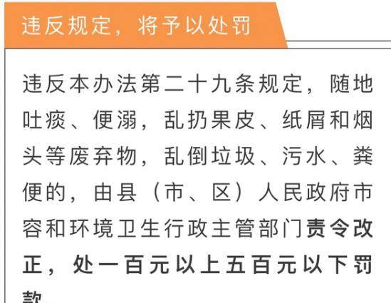 澳门今晚必开1肖|明净释义解释落实,澳门今晚必开一肖，解读背后的含义与落实的重要性