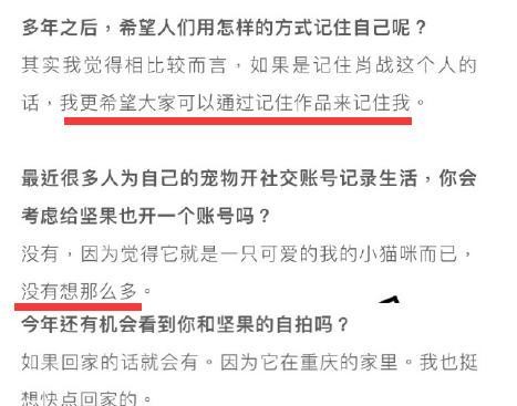 一肖100%中|理想释义解释落实,一肖百分百中，理想与现实的融合与落实之道