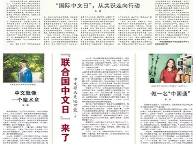 老奥正版资料大全免费版|正确释义解释落实,老奥正版资料大全免费版，正确释义、解释与落实的重要性