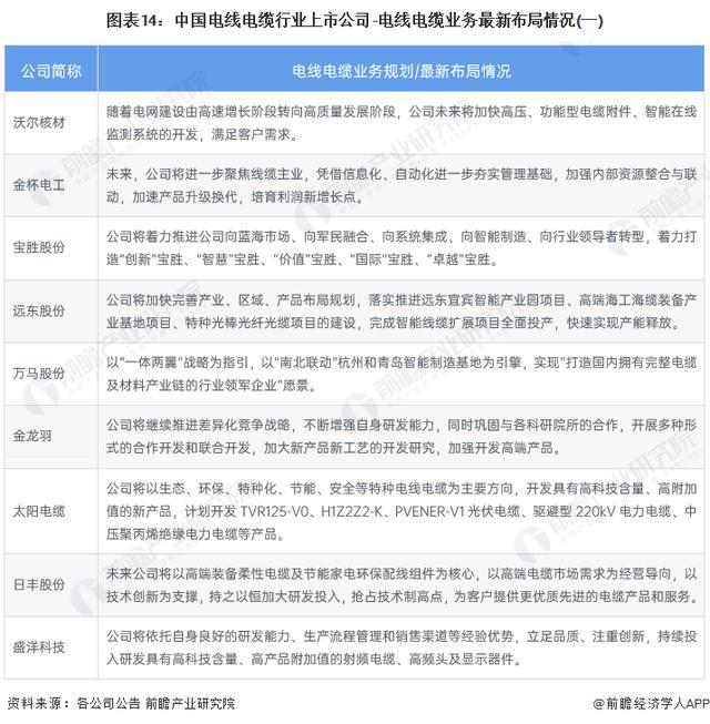 2024年香港正版内部资料|线下释义解释落实,2024年香港正版内部资料，线下释义解释落实的深度探讨