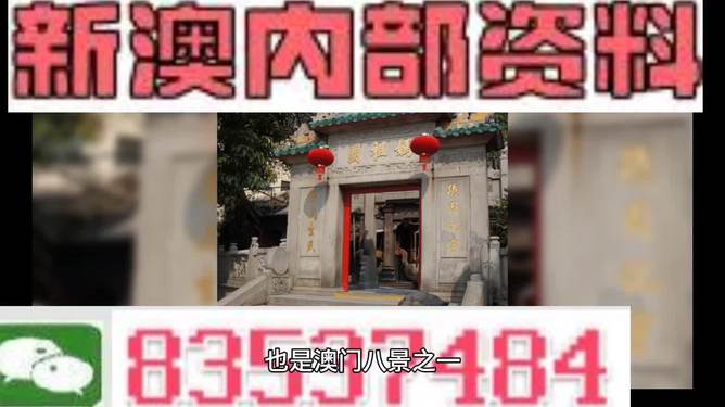 新澳门内部精准二肖|浅出释义解释落实,关于新澳门内部精准二肖的解读与落实，深入解析与浅出释义