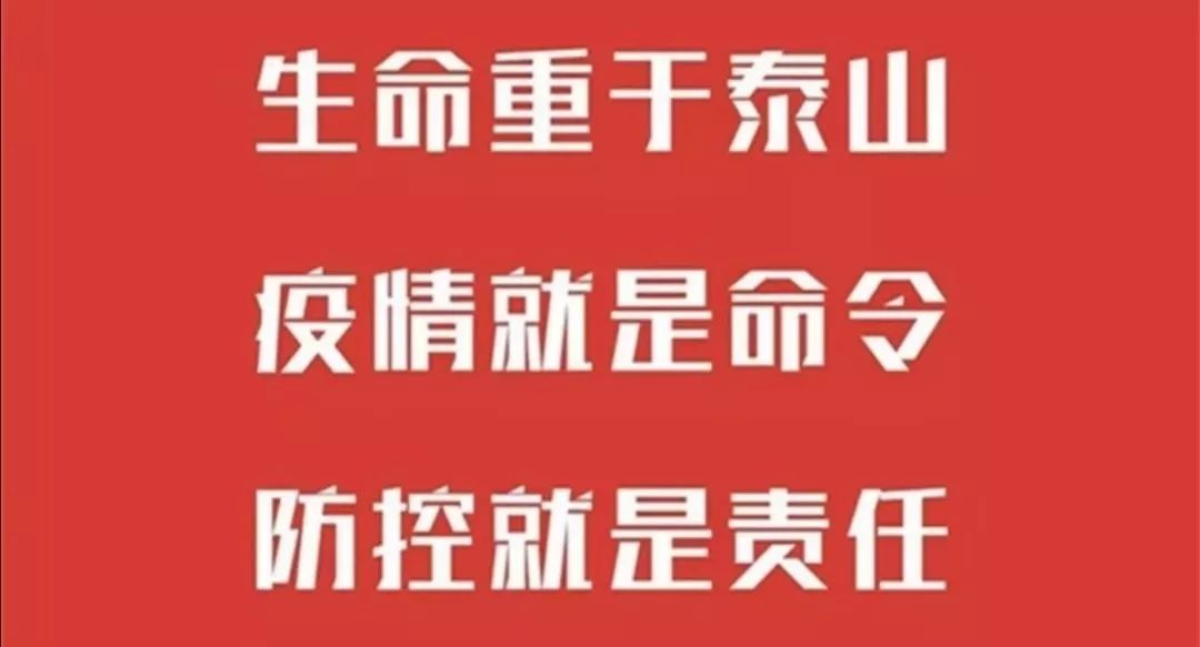 新奥门全年免费资料|力解释义解释落实,新奥门全年免费资料，力解释义与落实的重要性