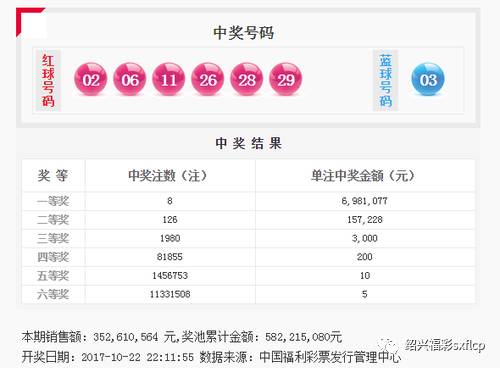 澳门王中王100%的资料三中三|接头释义解释落实,澳门王中王与犯罪问题，深入解析与警示