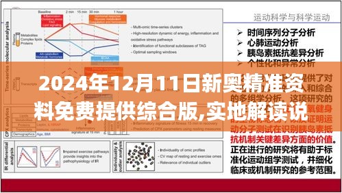 2024新奥正版资料最精准免费大全|智慧释义解释落实,2024新奥正版资料最精准免费大全与智慧释义解释落实的深度探讨