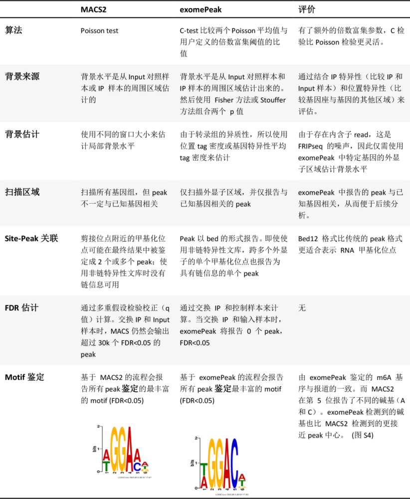 新奥天天免费资料大全|理论释义解释落实,新奥天天免费资料大全，理论释义、解释与落实