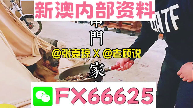 新澳门精准资料大全管家婆料|效益释义解释落实,新澳门精准资料与管家婆料，效益释义、解释与落实——警惕潜在风险，远离违法犯罪