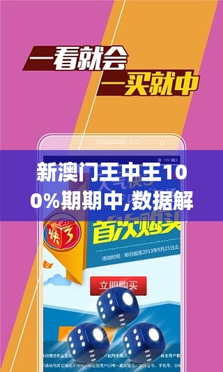 新澳门王中王100%期期中|外包释义解释落实,新澳门王中王100%期期中与外包释义解释落实探讨