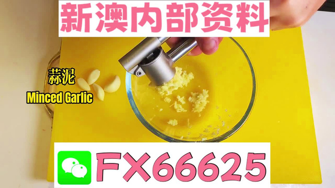 新澳精准资料期期精准24期使用方法|机巧释义解释落实,新澳精准资料期期精准24期使用方法与机巧释义解释落实