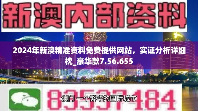 2024澳门免费资料,正版资料|详实释义解释落实,关于澳门免费资料与正版资料的探讨，详实释义、解释落实与违法犯罪问题