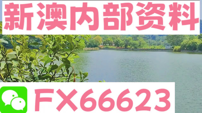 新澳精准资料期期精准|官方释义解释落实,新澳精准资料期期精准，官方释义解释与落实的重要性