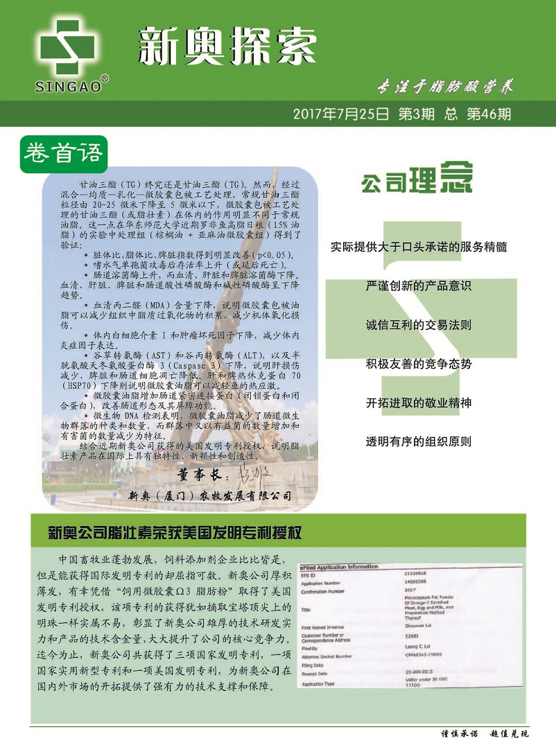 2004新奥精准资料免费提供|跟踪释义解释落实,揭秘新奥精准资料，免费提供与跟踪释义解释落实的重要性