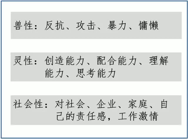 今晚澳门特马开什么今晚四不像|竞争释义解释落实,今晚澳门特马开什么今晚四不像竞争释义解释落实——警惕违法犯罪风险