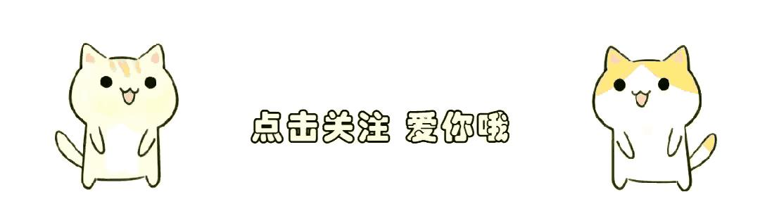 2024年天天彩免费资料|学院释义解释落实,2024年天天彩免费资料与学院释义解释落实深度探讨